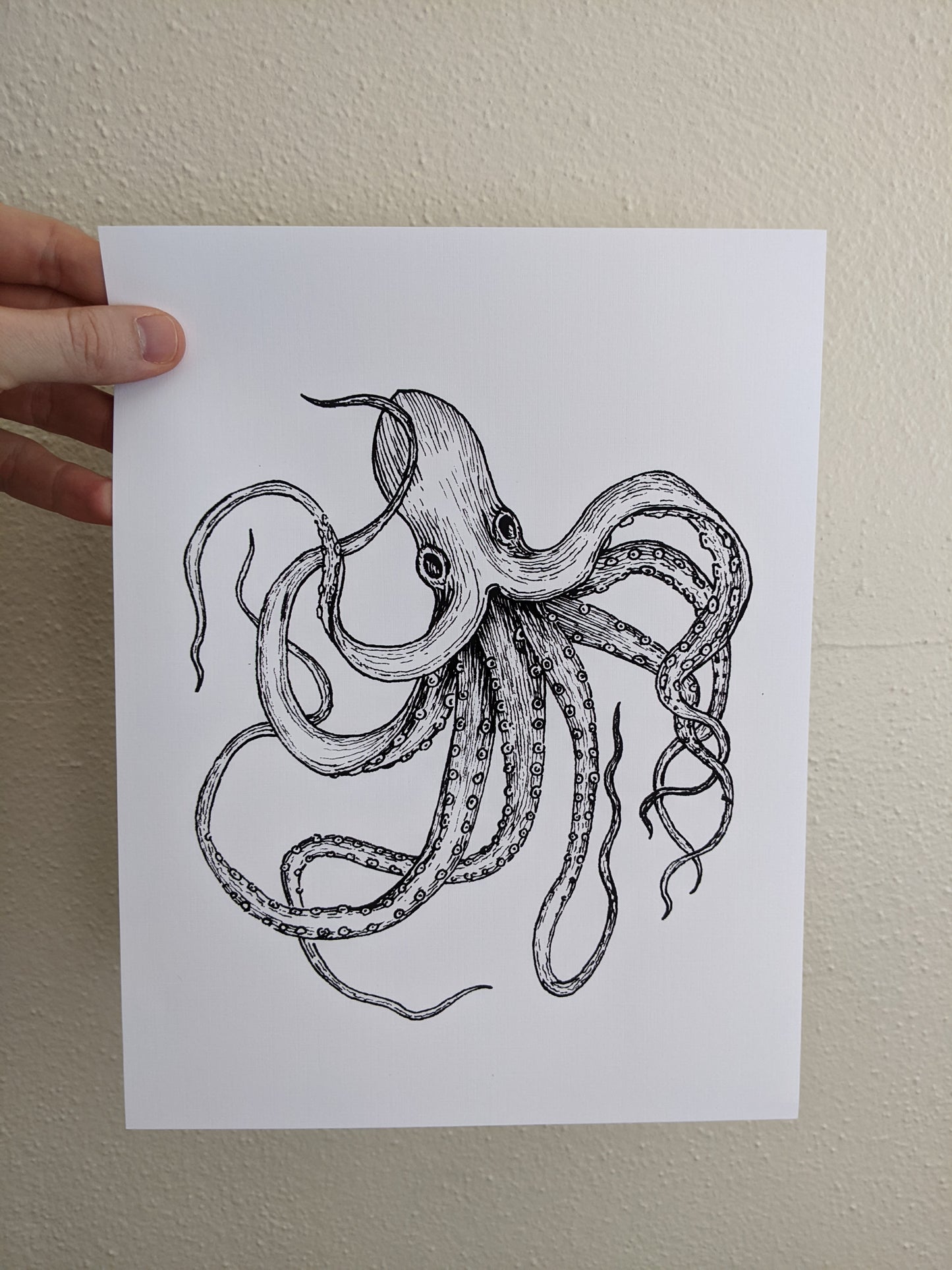 Octopus #1