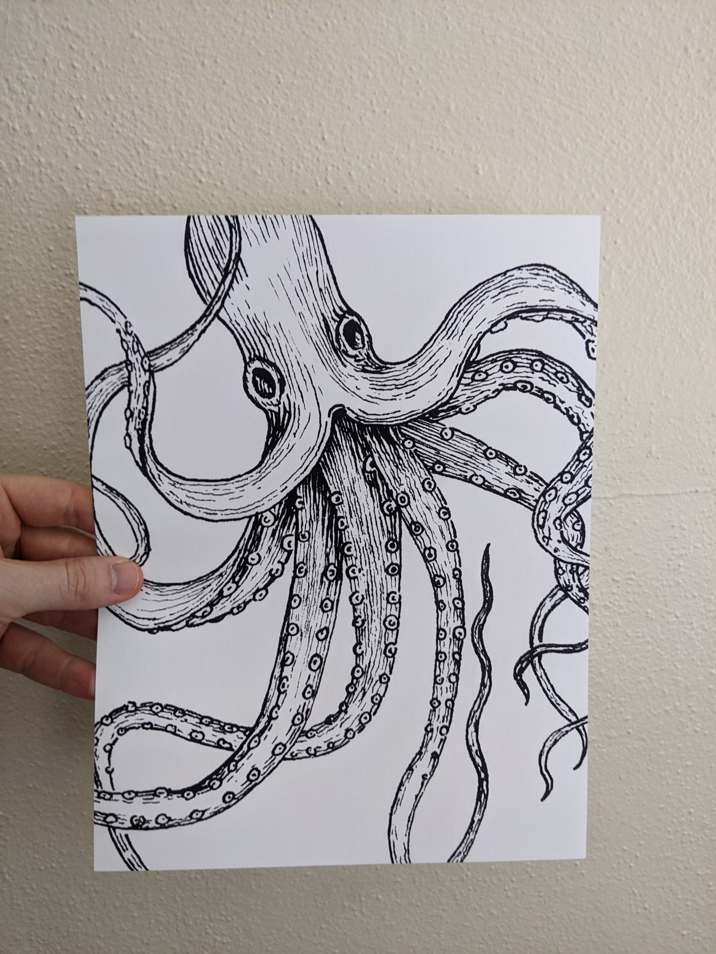 Octopus #2